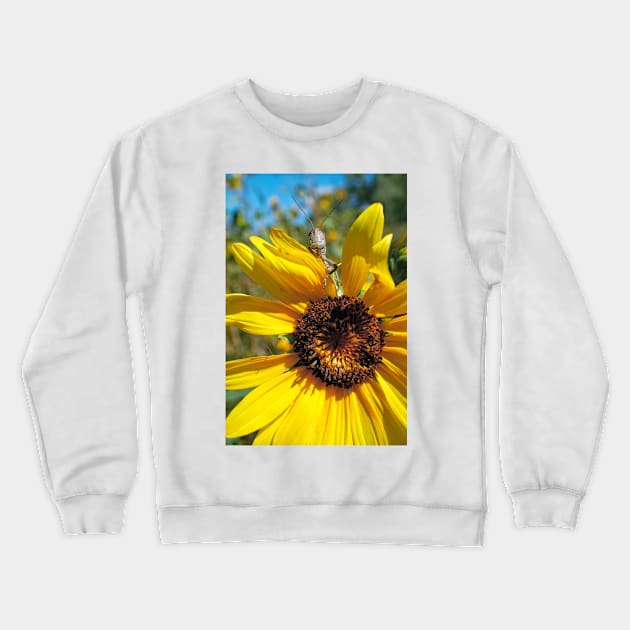 Brunch Crewneck Sweatshirt by becky-titus